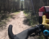 Immersi nel sentiero boschivo in bicicletta