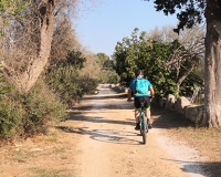 strade-bianche-ciclista-minervino