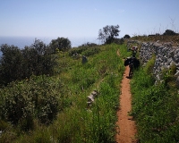 sentiero-verso-torre-sasso