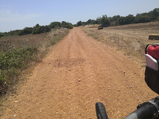 L'attraversamento di una strada bianca