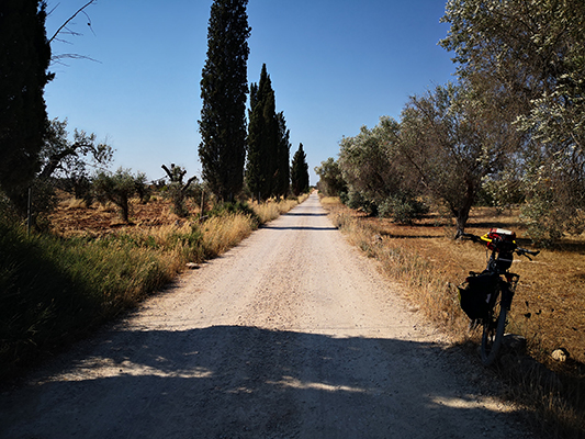 Strade bianche d'Arneo