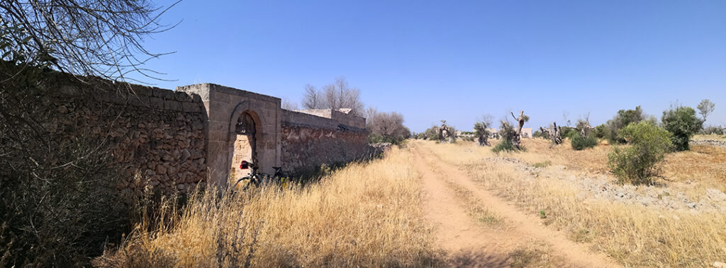 Muro di cinta dell'ovile di masseria Sarparea