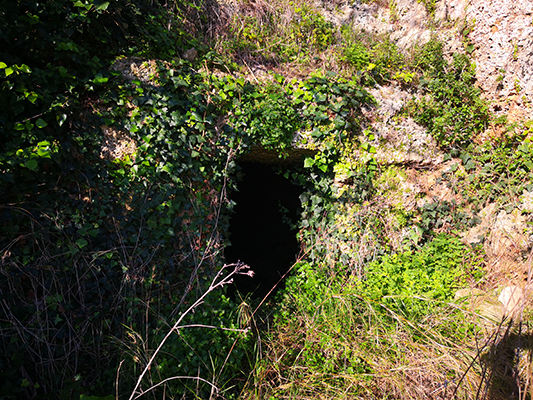 Un ingresso ipogeo a Giuliano di Leuca