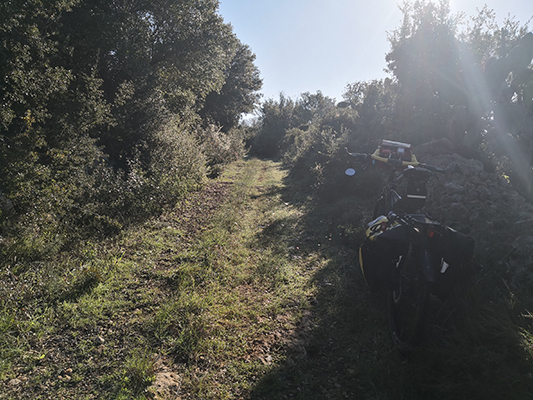 Il sentiero in bicicletta