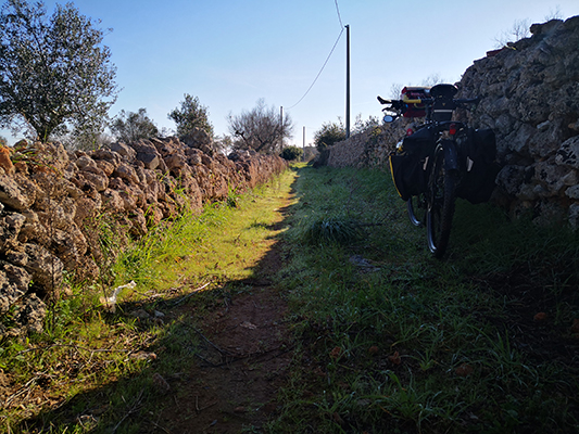 Un sentiero tra muretti in pietra a Gagliano del Capo