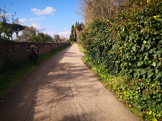 La stradina con l'edera e la bicicletta