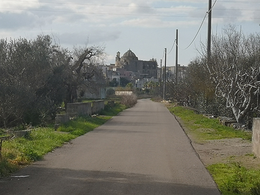 La chiesa madre di Neviano