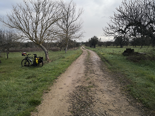 Strada sterrata d'inverno in bicicletta