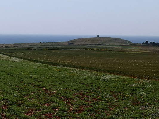 La Torre Sant'Emiliano