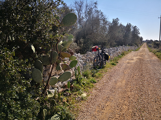 Rettilineo gravel della via francigena