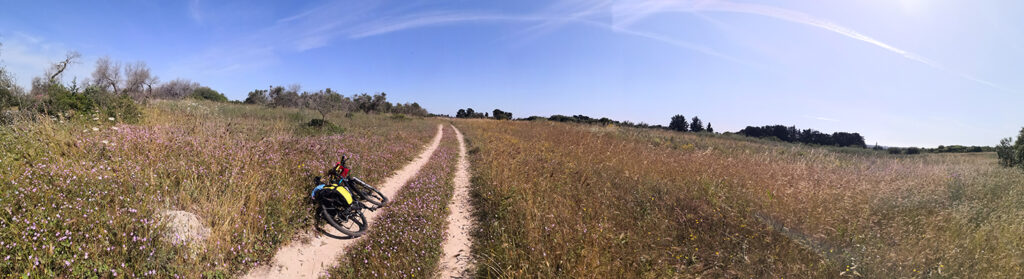 La primavera esplosa