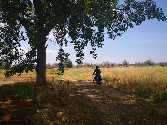 La direzione da scegliere