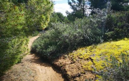 Ciclonica – Ciclovia del Salento Ionico