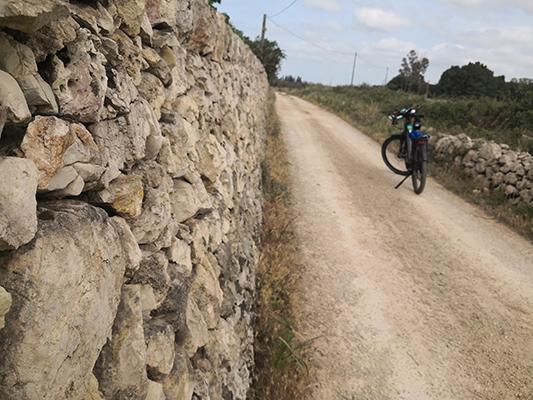 La strada bianca attraversata