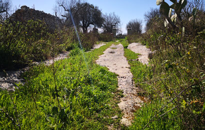 L’oasi naturale